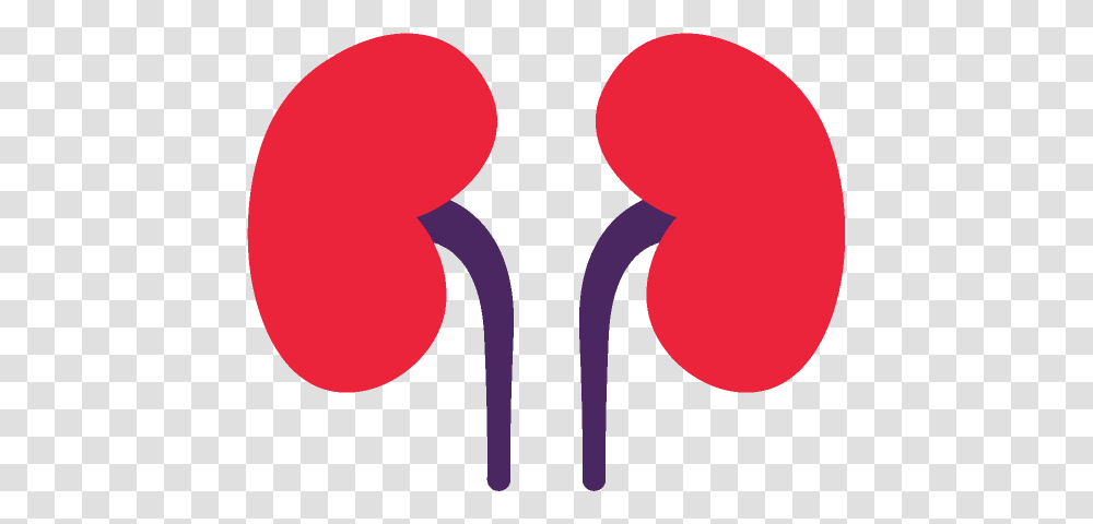 Kidney Stone Center, Balloon, Hand, Weapon Transparent Png
