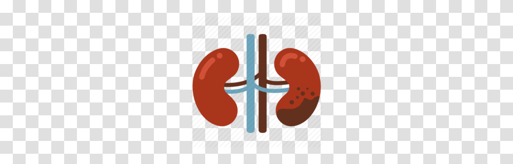 Kidney Stone Clipart, Label, Alphabet Transparent Png