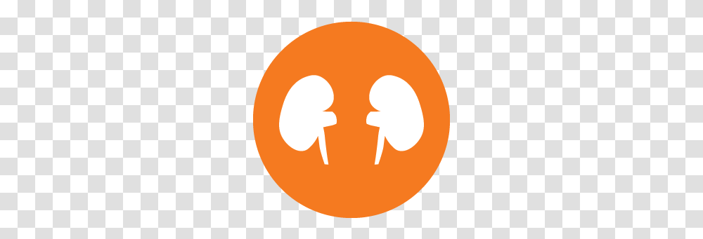 Kidney Transplant Center Uf Health University Of Florida Health, Logo, Hand, Seed Transparent Png