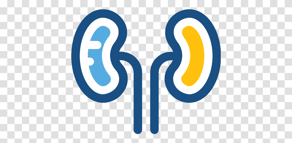 Kidneys Kidney Icon Vertical, Text, Number, Symbol, Label Transparent Png