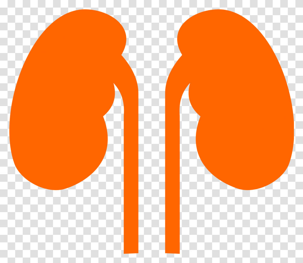 Kidneys Noun 524431 Cc Orange Kidney Purple, Label, Text, Hand, Cutlery Transparent Png