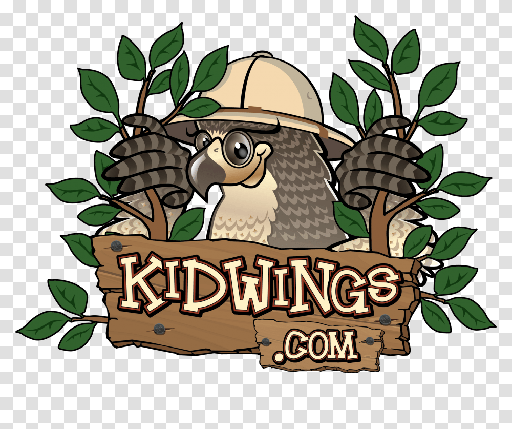 Kidwings Owl Pellet Dissection And Owl Information For Kids, Tree, Plant, Mammal, Animal Transparent Png