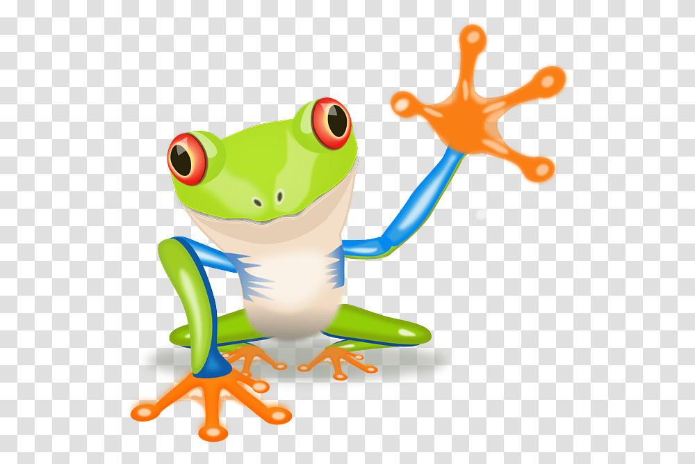Kikker Frogs Frogs, Amphibian, Wildlife, Animal, Tree Frog Transparent Png