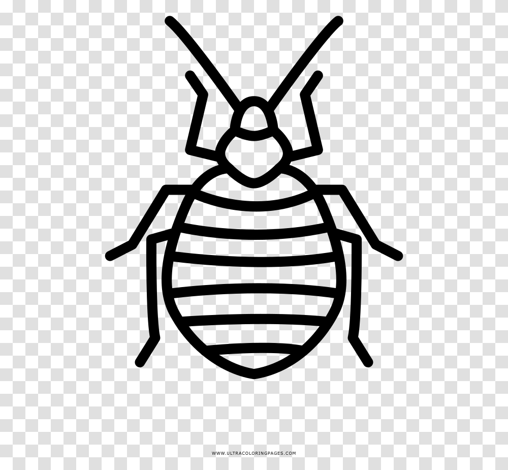 Kill Bed Bugs Houston, Gray, World Of Warcraft Transparent Png