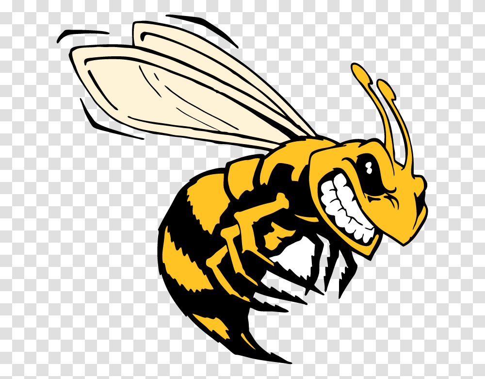 Killer Bee Clip Art, Wasp, Insect, Invertebrate, Animal Transparent Png