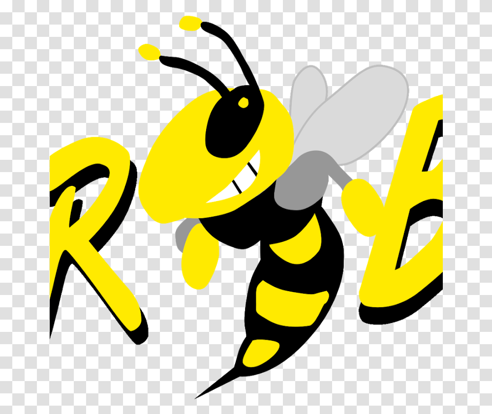 Killer Bee Download Hornet, Wasp, Insect, Invertebrate, Animal Transparent Png
