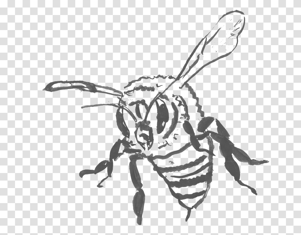 Killer Bee Download Illustration, Skeleton, Wasp, Insect Transparent Png