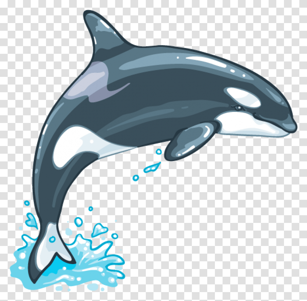 Killer Whale, Animal, Sea Life, Mammal, Helmet Transparent Png