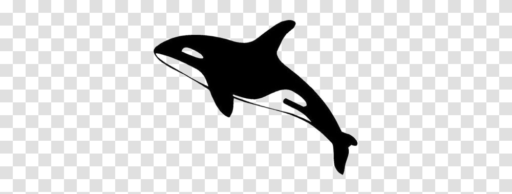 Killer Whale, Animals, Logo, Trademark Transparent Png