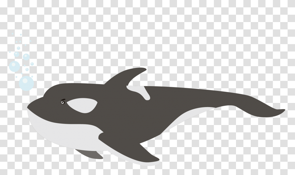 Killer Whale, Animals, Sea Life, Mammal, Shark Transparent Png