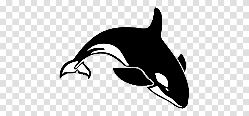 Killer Whale, Animals, Sea Life, Mammal, Silhouette Transparent Png