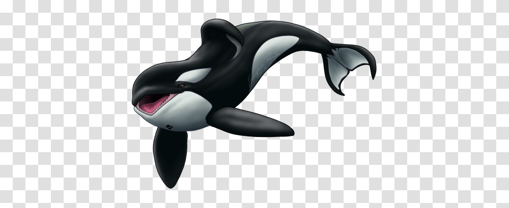 Killer Whale, Animals, Sea Life, Orca, Mammal Transparent Png