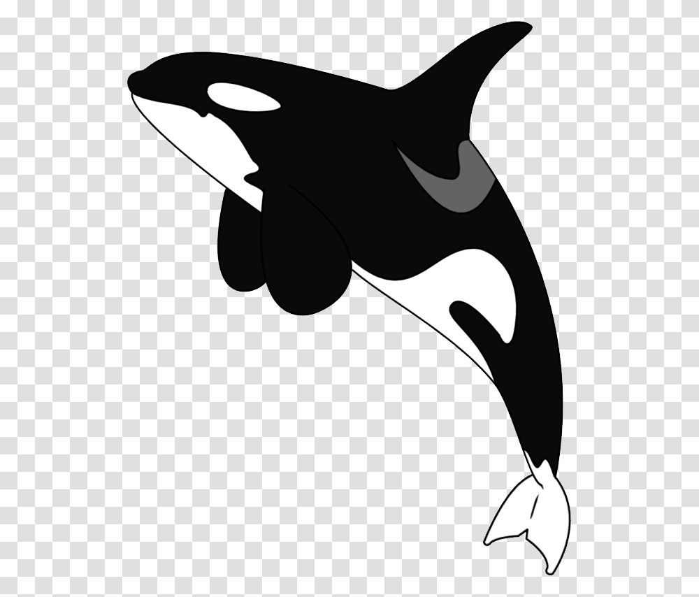 Killer Whale, Animals, Stencil, Mammal, Silhouette Transparent Png