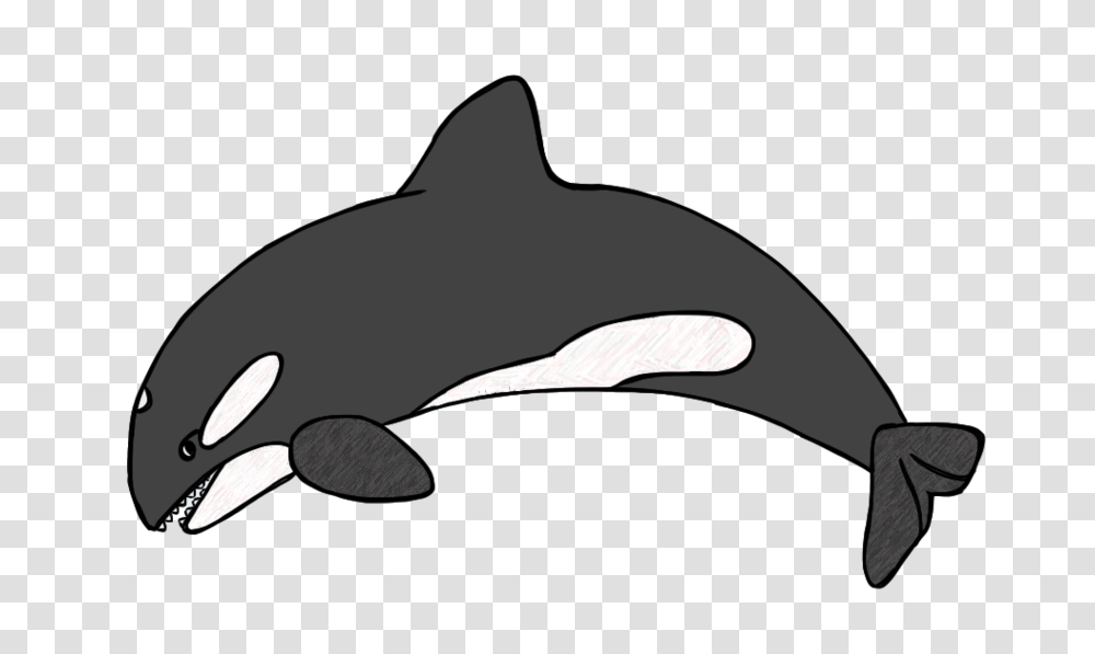 Killer Whale Clip Art Clipart Free To Use Resource, Sunglasses, Accessories, Accessory, Sea Life Transparent Png