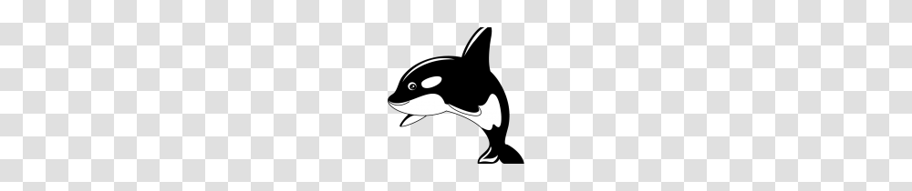Killer Whale Clip Art Killer Whale Cartoon Clip Art Pictures, Sea Life, Animal, Label Transparent Png