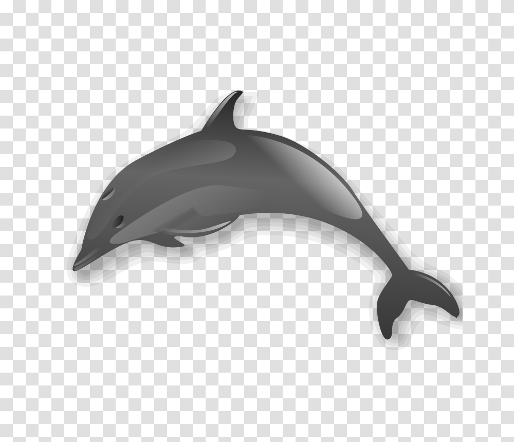 Killer Whale Clip Art, Sea Life, Animal, Mammal, Dolphin Transparent Png