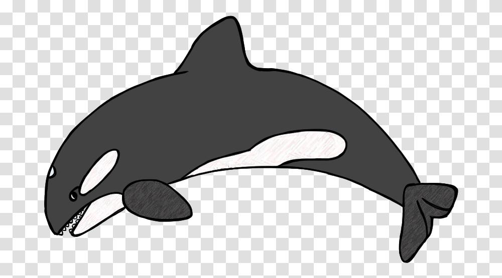 Killer Whale Clipart Black And White Dromgcb Top Orca Clipart, Sunglasses, Accessories, Accessory, Sea Life Transparent Png
