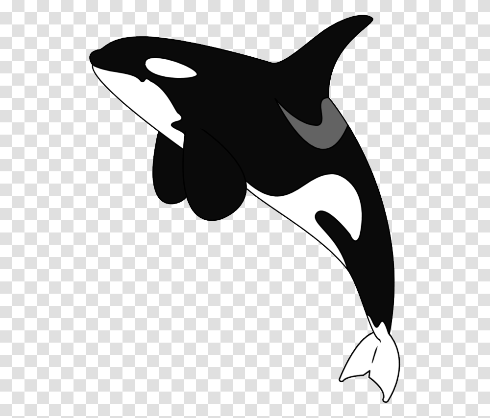 Killer Whale Clipart Cartoon Killer Whale Background, Stencil, Animal, Axe, Tool Transparent Png