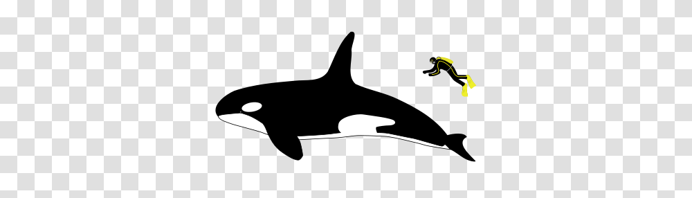 Killer Whale Clipart Great White Shark, Apparel, Moon, Outdoors Transparent Png