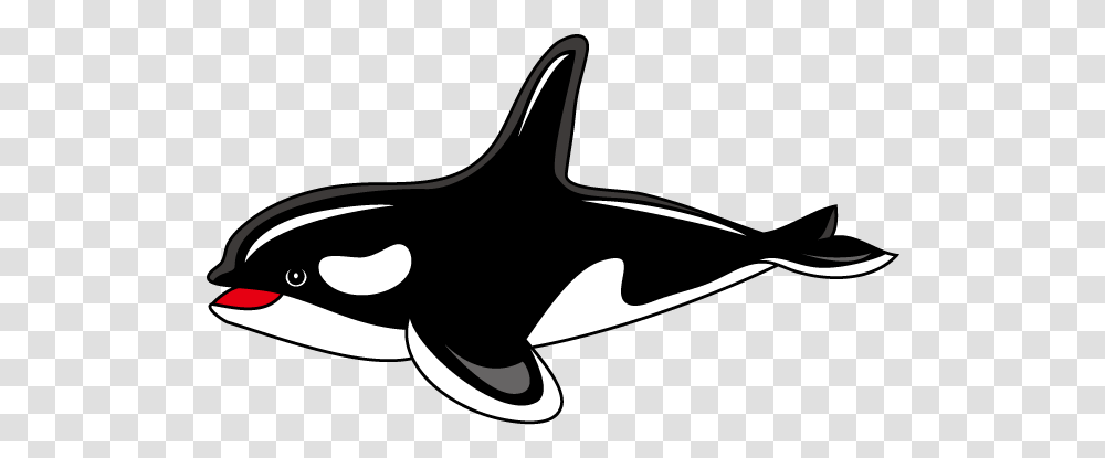 Killer Whale Clipart Orca Clipart, Sea Life, Animal, Fish, Shark Transparent Png