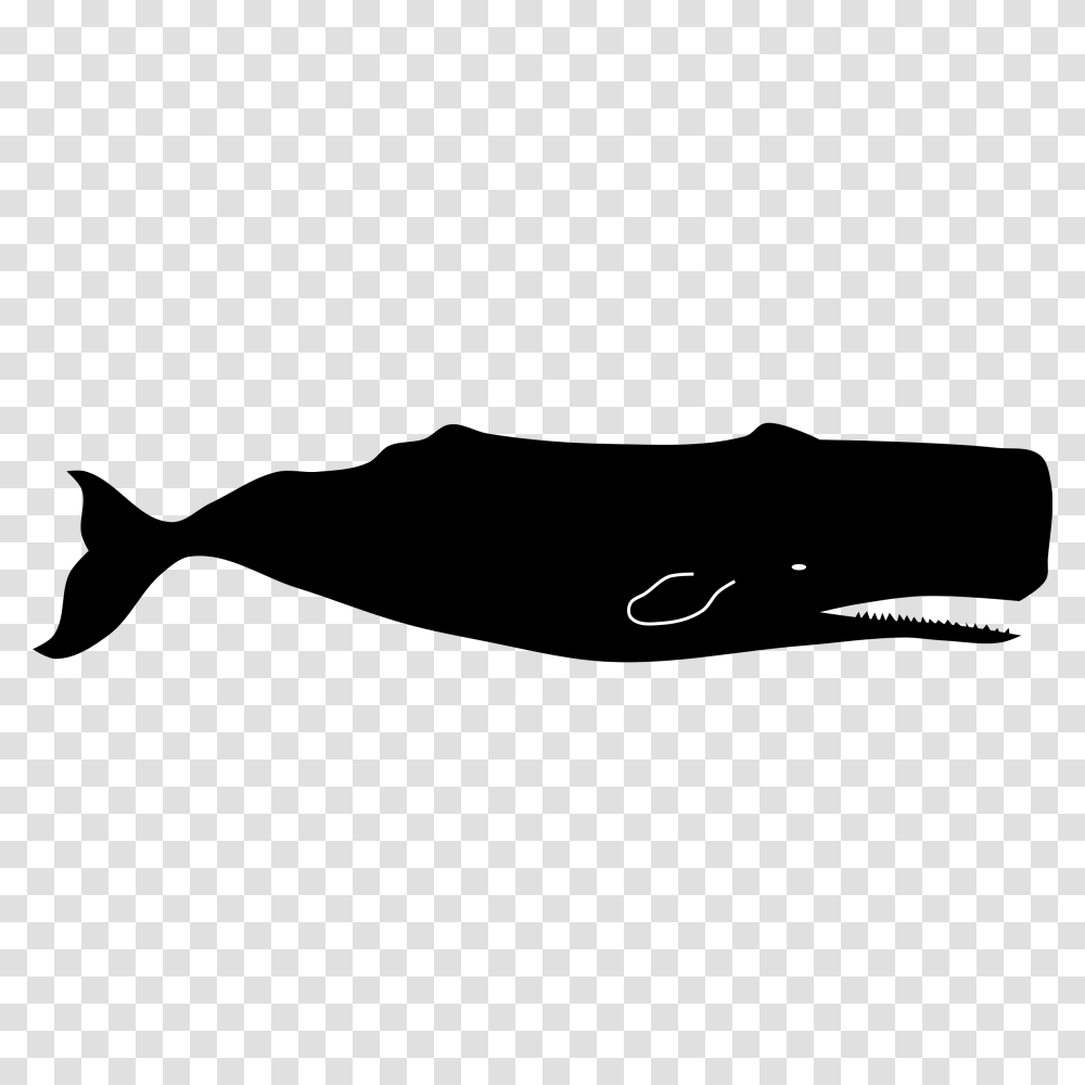 Killer Whale Clipart Sperm Whale, Outdoors, Moon, Outer Space, Astronomy Transparent Png