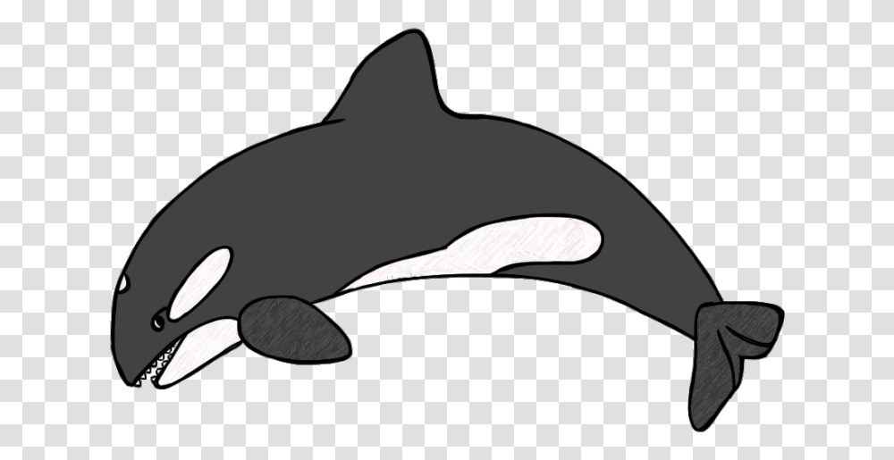 Killer Whale Drawing For Kids Orca Clipart, Sunglasses, Accessories, Accessory, Sea Life Transparent Png