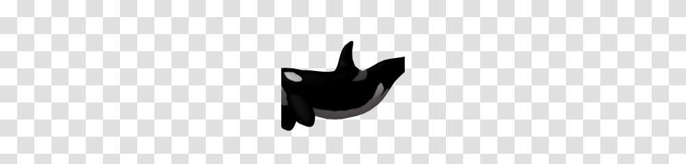 Killer Whale Image, Sea Life, Animal, Mammal, Orca Transparent Png