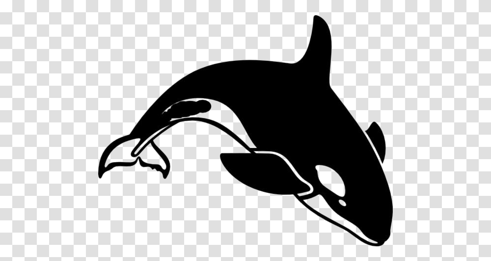 Killer Whale Images Orca Clipart, Sea Life, Animal, Mammal, Bow Transparent Png