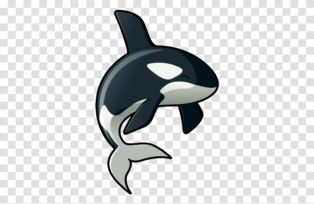 Killer Whale Killer Whale Cartoon, Orca, Mammal, Sea Life, Animal Transparent Png