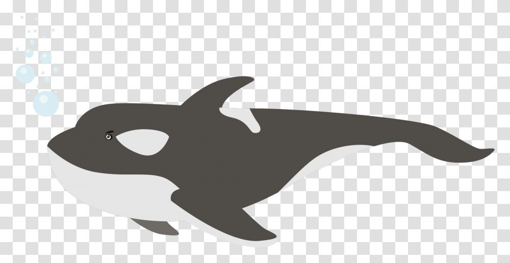 Killer Whale Killer Whale, Sea Life, Animal, Axe, Tool Transparent Png