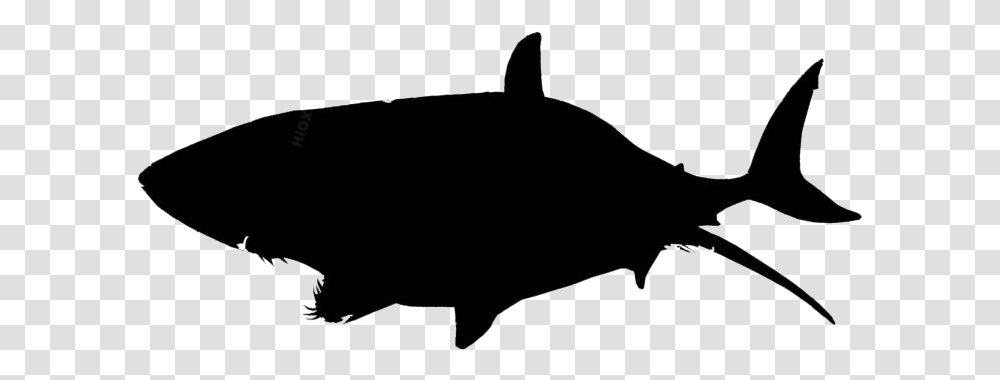 Killer Whale Logo Tuna Icon, Bow, Animal, Silhouette, Sea Life Transparent Png