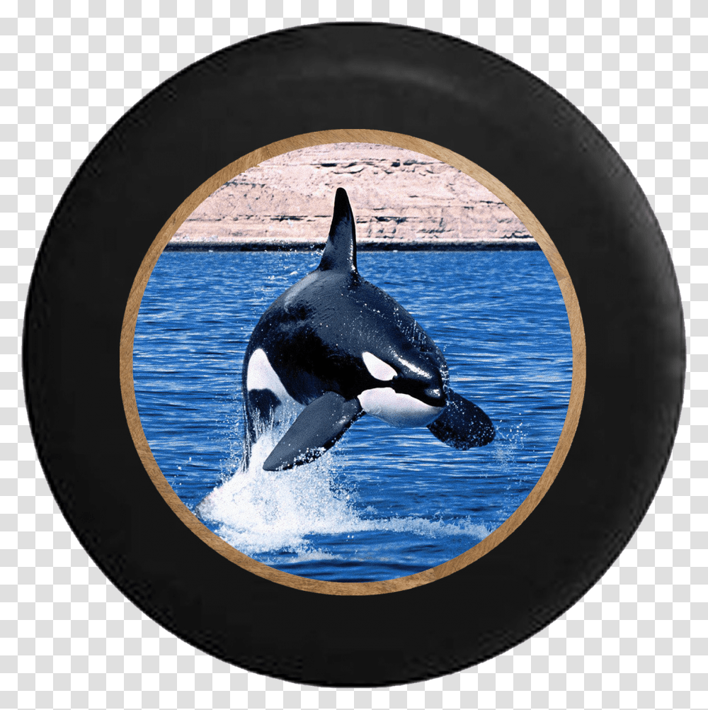Killer Whale Orca Jumping In The Ocean Rv Camper Spare Orca, Mammal, Sea Life, Animal, Jacuzzi Transparent Png