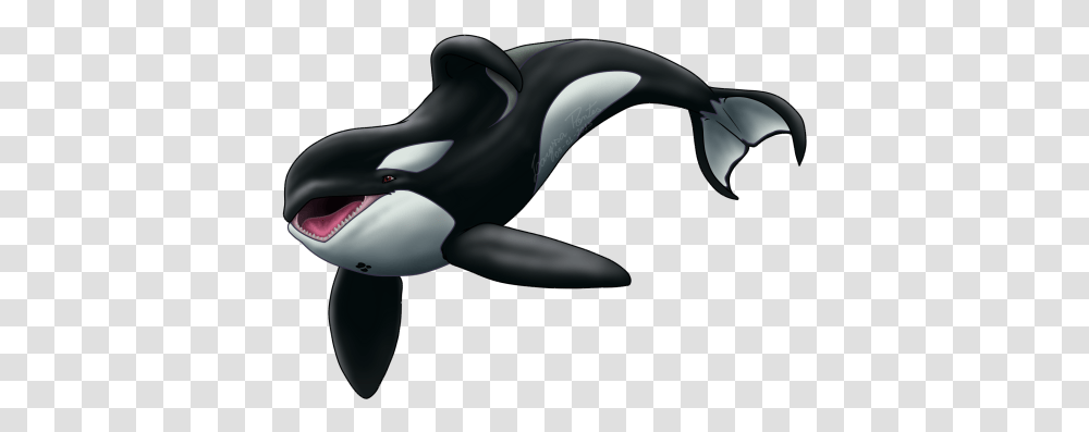 Killer Whale Orca Whale, Mammal, Sea Life, Animal, Blow Dryer Transparent Png