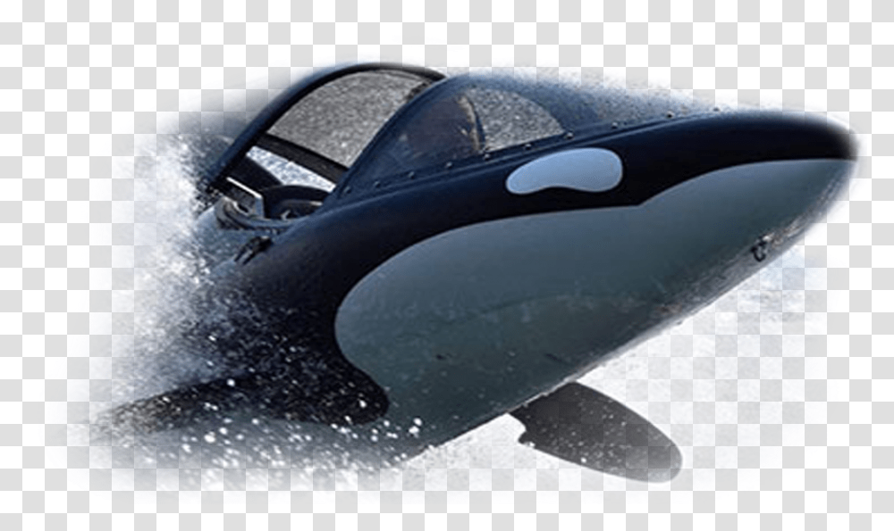 Killer Whale, Tire, Wheel, Machine, Vehicle Transparent Png
