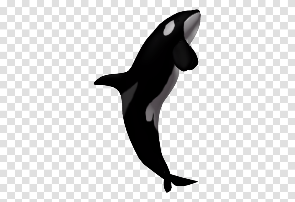 Killer Whale Without Background, Animal, Silhouette, Bird, Person Transparent Png