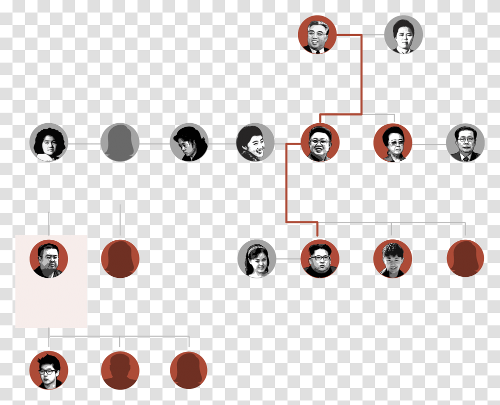Kim Family Tree, Person, Human, Number Transparent Png