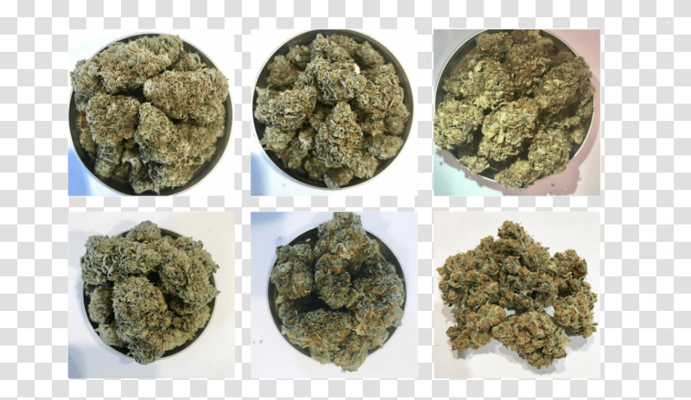 Kind Guy Delivery Maine Weed Igneous Rock, Plant, Moss, Pineapple, Fruit Transparent Png