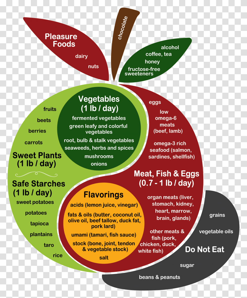 Kind Readers Have Translated The Perfect Health Diet Perfect Health Diet, Flyer, Poster, Paper, Advertisement Transparent Png
