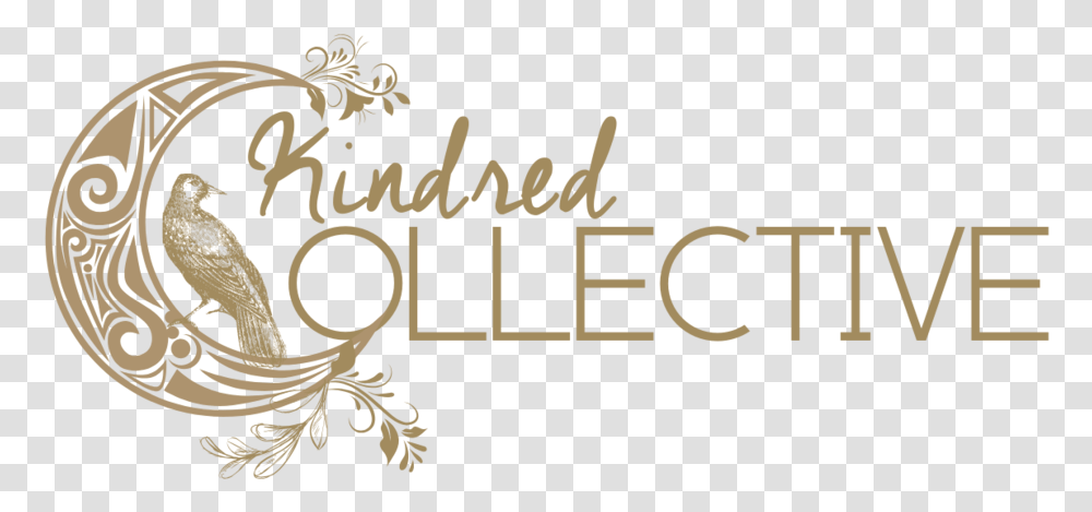 Kindred Collective Language, Text, Calligraphy, Handwriting, Alphabet Transparent Png
