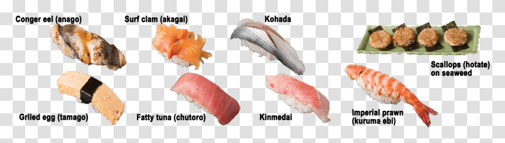 Kinds Of Sushi Sashimi Sushi Fish Types, Food, Animal, Sea Life, Seafood Transparent Png