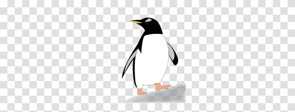 King Clipart, King Penguin, Bird, Animal, Helmet Transparent Png