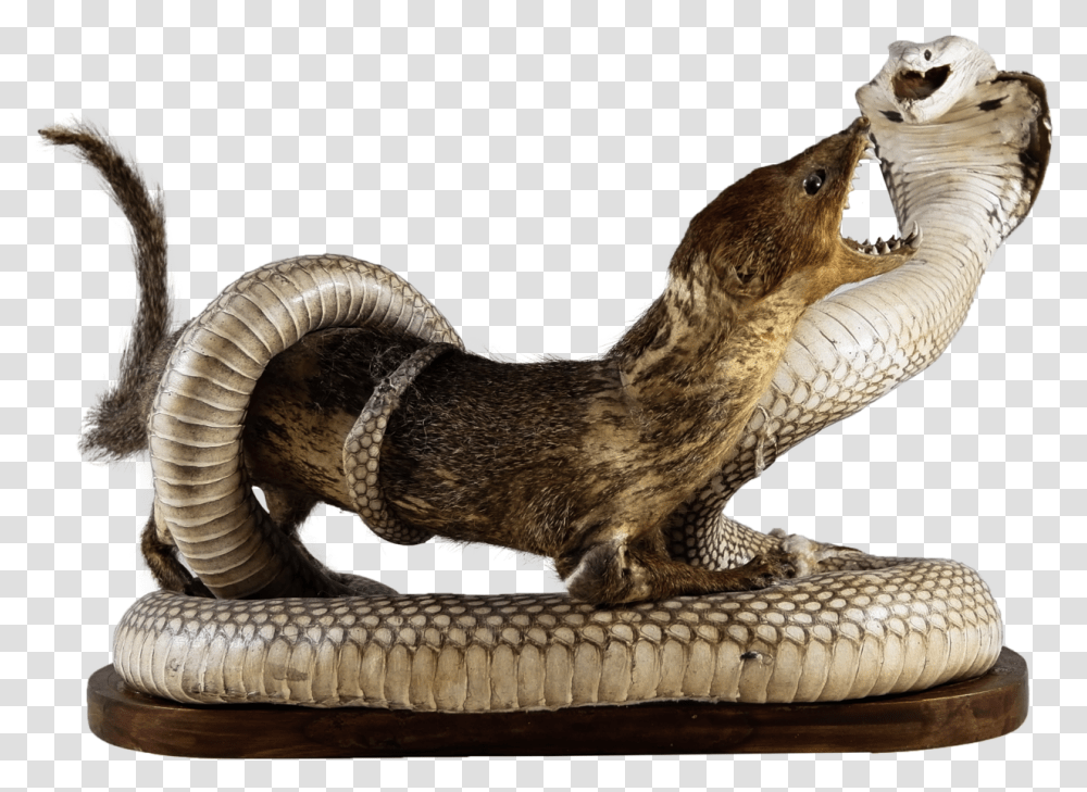 King Cobra And Mongoose Statue, Snake, Reptile, Animal, Mammal Transparent Png