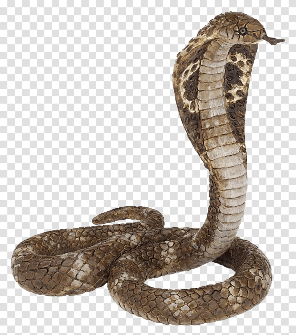 King Cobra Clipart King Cobra, Snake, Reptile, Animal Transparent Png