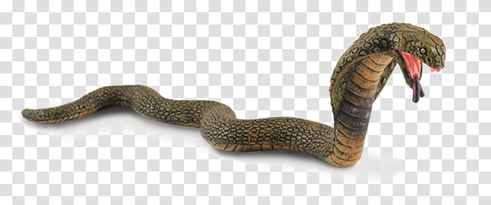 King Cobra Image King Cobra Collecta, Snake, Reptile, Animal, Invertebrate Transparent Png