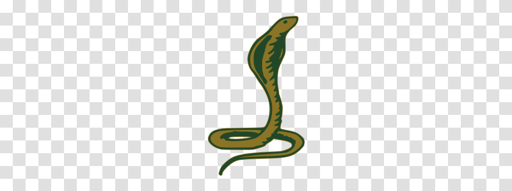 King Cobra, Reptile, Animal, Snake, Sock Transparent Png