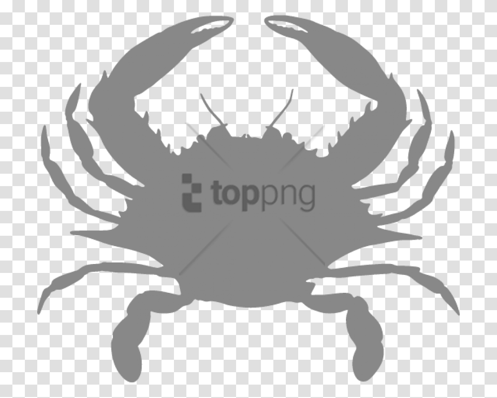 King Crab Blue Crab Eyes, Seafood, Sea Life, Animal, Invertebrate Transparent Png