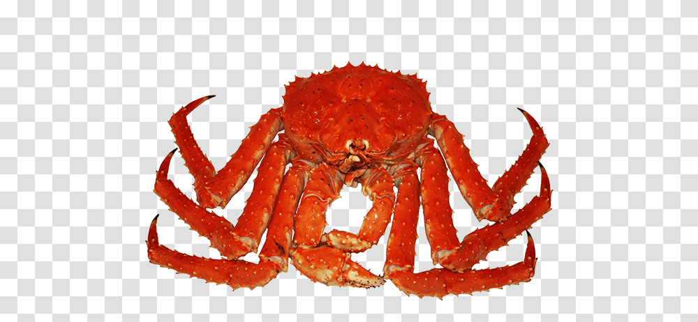 King Crab Image Long Leg Crab, Invertebrate, Animal, Seafood, Sea Life Transparent Png