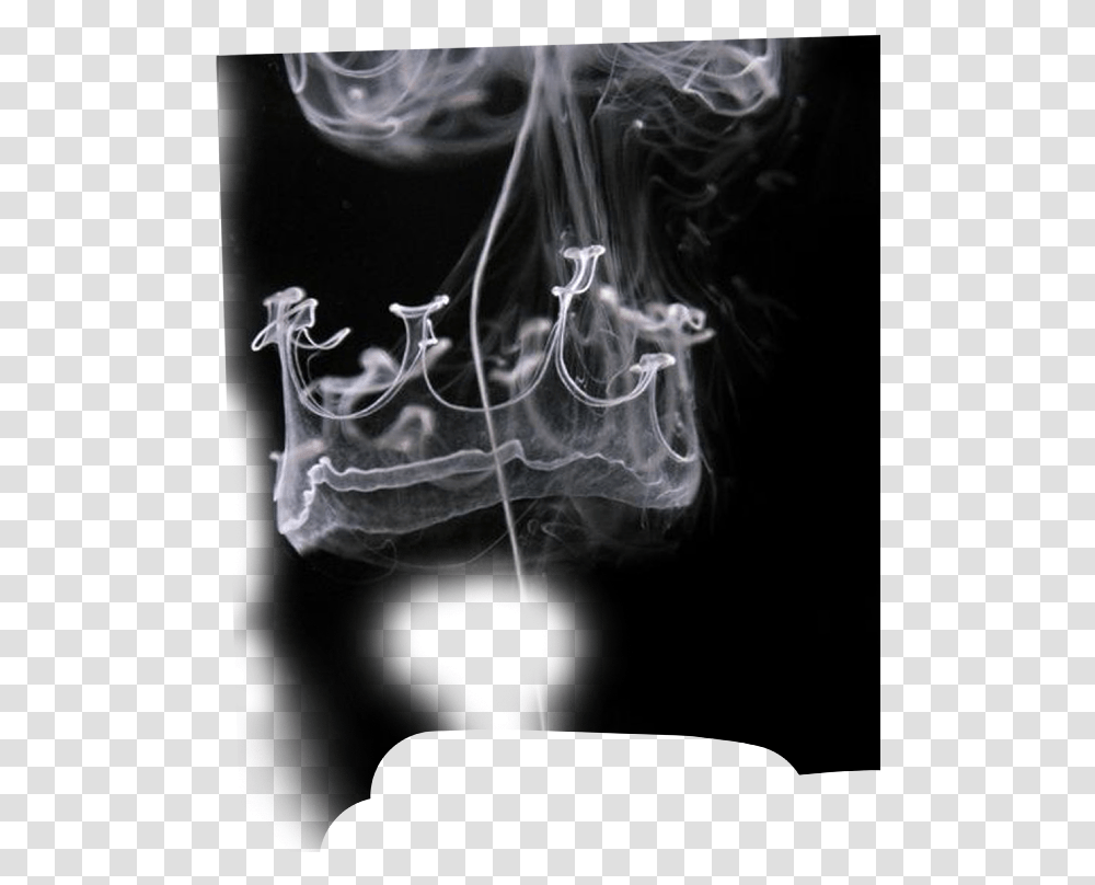 King Crown Photo Editing In Picsart Get Smoke Crown Gif, Smoking, Person, Human, Incense Transparent Png