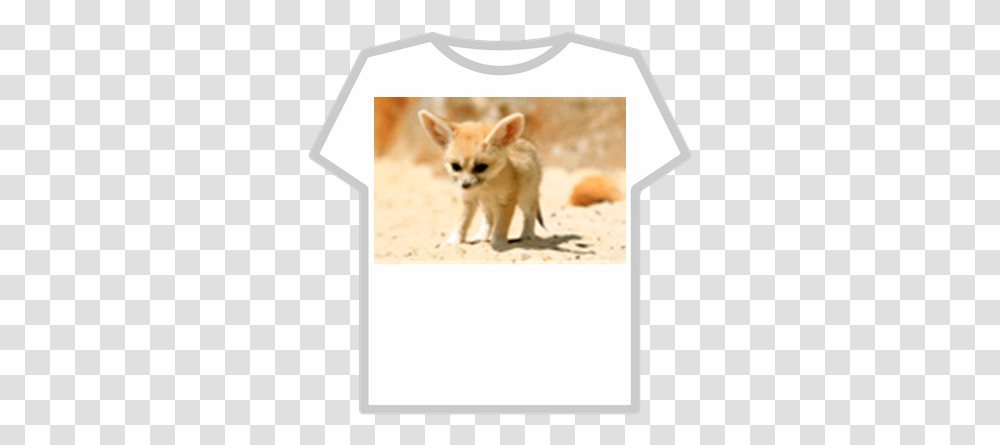 King Fennec Fox Shirt Roblox Fennec Fox Baby, Kit Fox, Canine, Wildlife, Mammal Transparent Png