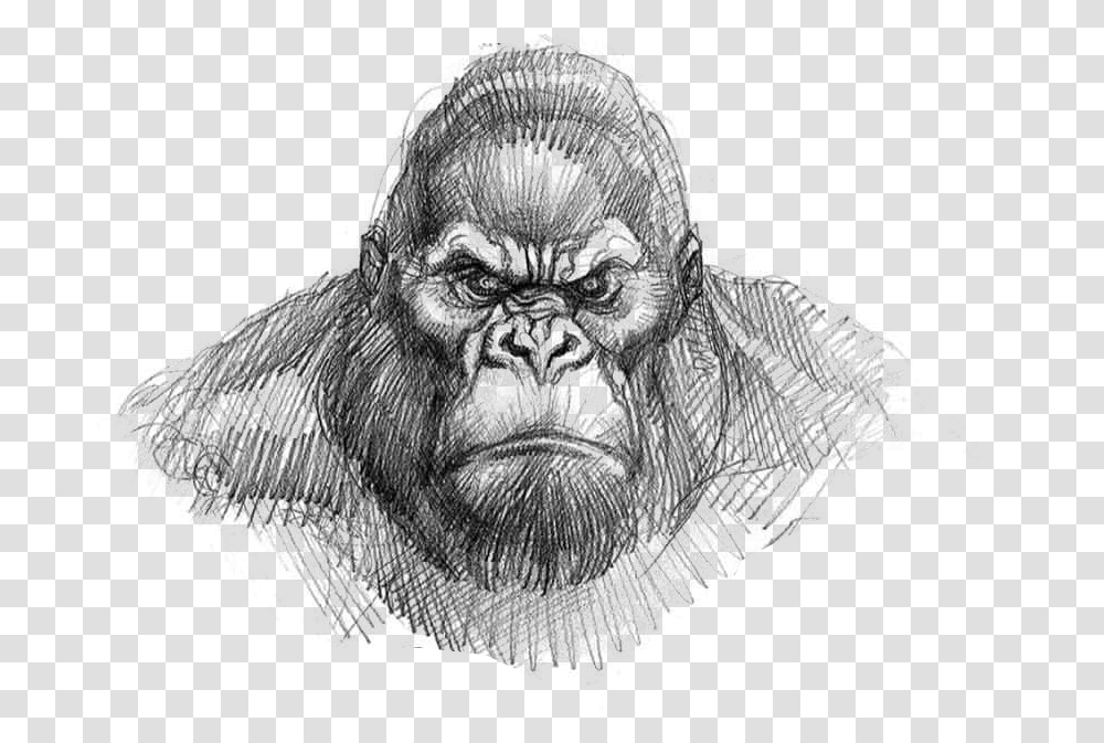 King Kong Drawing Easy Download King Kong Gorilla Face Drawing, Ape, Wildlife, Mammal, Animal Transparent Png